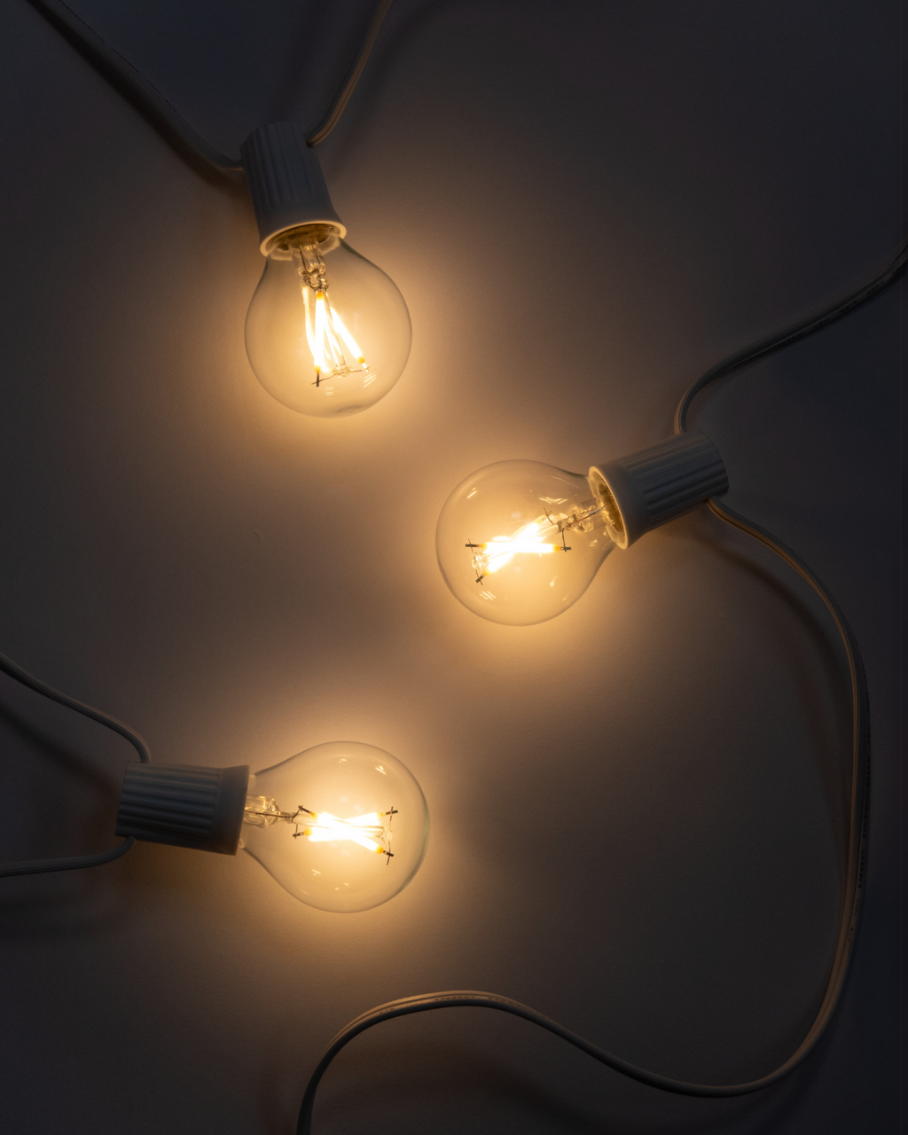 Ambience Globe LED Plug In String Lights