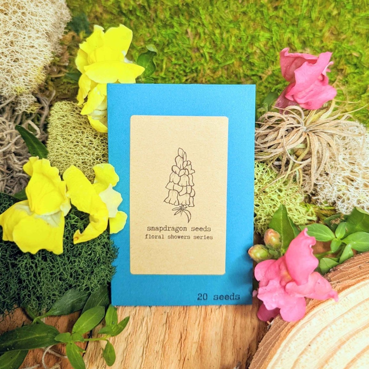 "Indoor Blooms" Seed Collection